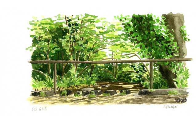 Portfolio Item