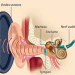 Sciences et Avenir